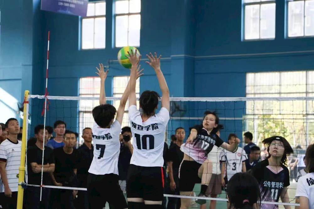 d98ac916811040e9875fdae309a11f2e.jpg