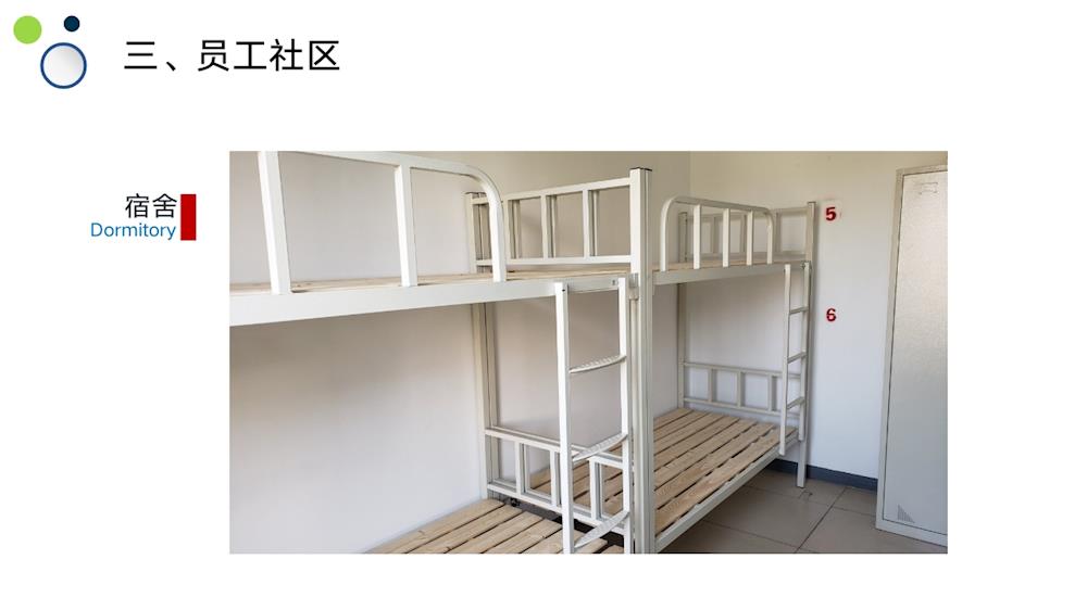 c13c391020fe47029dd74f79d1155a29.jpg
