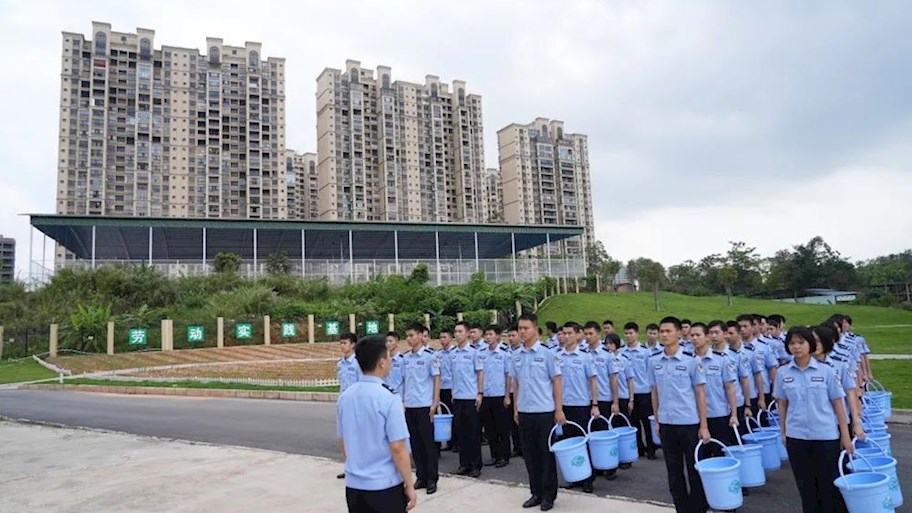 【迎评促建】｜治安学院举行劳动实践课